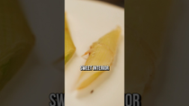 Thumbnail for Cook Onions Like Meat | Fallow
