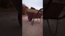 Thumbnail for POV: you go afk in a racing game | FunnyMemeSpot