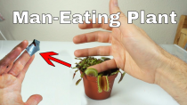 Thumbnail for I Let a Venus Flytrap Digest My Finger For a Day–Little Shop of Horrors Challenge! | The Action Lab
