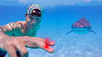 Thumbnail for Testing if Sharks Can Smell a Drop of Blood | Mark Rober