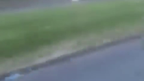 Thumbnail for Shitskin phone thief tries to run, gets 1shotted 