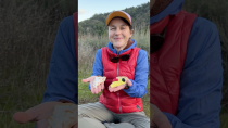 Thumbnail for Freeze Dryer Giveaway! Make non-perishable, lightweight pie for the trail! | thruhikers