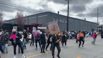 Thumbnail for The 19th Amendment isn't going to make it