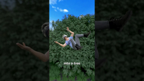 Thumbnail for Hit By A Pigeon While Riding 😰 | Zack D. Films