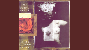 Thumbnail for The Return Of The Beautiful | My Dying Bride - Topic