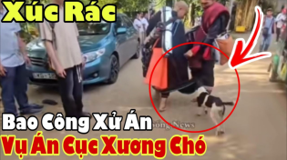 Thumbnail for XỬ ÁN - Xúc Rác Trùm Đại Ca Đoàn Du Lịch Ăn Xin Từ Thiện Minh Tuệ Dụ Án CỤC XƯƠNG 🐕 | Lực Tàng