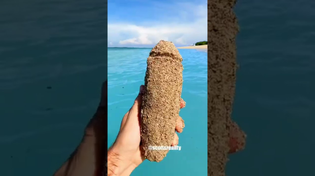 Thumbnail for Did you pass ✅ or fail ❌this challenge? Subscribe to get another chance ;) | scottsreality