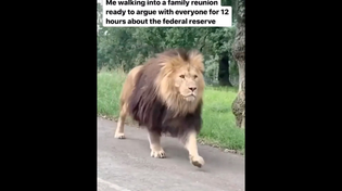 Thumbnail for Me walking into a family reunion ready to argue with everyone for 12 hours about the federal reserve | FunnyMemeSpot Backup