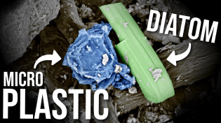 Thumbnail for Extracting Microplastics with Olive Oil | Breaking Taps