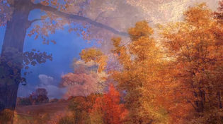 Thumbnail for Buttered up 