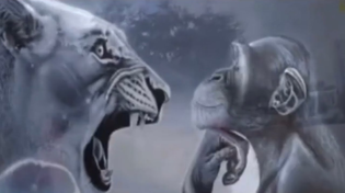 Thumbnail for genuinely mastered the art of rage bait | FunnyMemeSpot Backup