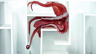 Thumbnail for Octopus vs Underwater Maze | Mark Rober