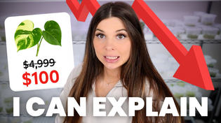 Thumbnail for I accidentally crashed the rare plant market | Plants in Jars