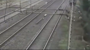Thumbnail for The Pajeet Predator: Trains of Terror [Attenborough Narration]