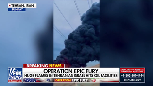 Thumbnail for Show some guts