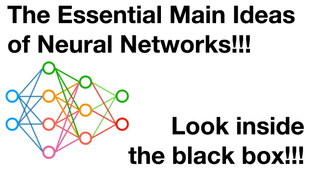 Thumbnail for The Essential Main Ideas of Neural Networks | StatQuest with Josh Starmer