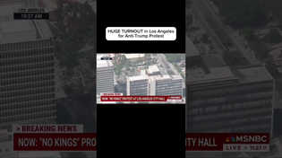 Thumbnail for HUGE TURNOUT in LA for anti-Trump protest