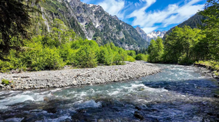 Thumbnail for Hiking through Enchanted Valley at Olympic National Park | Michael Zachery