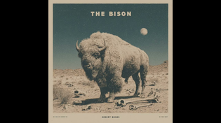 Thumbnail for The Bison - Desert Bones [Full Album] (Psychedelic Stoner Space Rock) | Zaruret Records