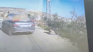 Thumbnail for West Bank: Jew deliberately runs over Palestinian praying