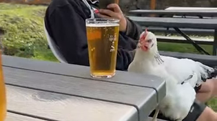 Thumbnail for My spirit animal
