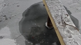 Thumbnail for Guy saves a freezing cat