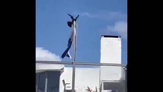 Thumbnail for Crow removes Israeli flag! | Basit Khan Safi
