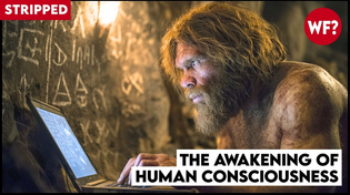 Thumbnail for The Awakening of Human Consciousness | Forbidden Fungus (STRIPPED) | The Why Files