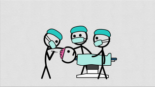 Thumbnail for Your Theme | CGP Grey