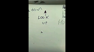 Thumbnail for Good Old Porta Potty Art | FunnyMemeSpot