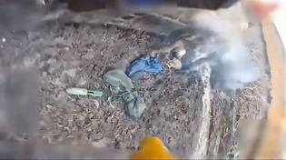 Thumbnail for Russian drone attack highlight reels (6m45s)