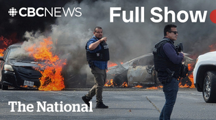 Thumbnail for CBC News: The National | Cartel violence erupts in Mexico | CBC News: The National