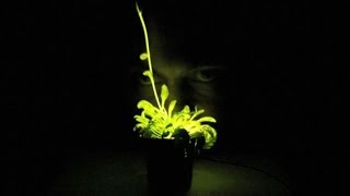 Thumbnail for 3-D Printing DNA: Hacking Life's Code and Creating New Organisms | ReasonTV