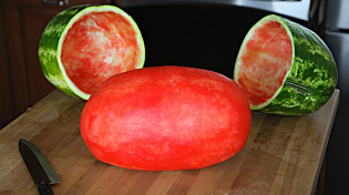 Thumbnail for Skin a Watermelon Party Trick | Mark Rober