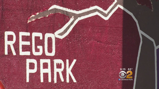 Thumbnail for Teens Paint Over Graffiti With Art Of Their Own | CBS New York