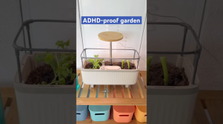 Thumbnail for Let’s make an ADHD-proof herb garden 🪴 #herbgarden #balconygarden #ADHD | Adria and Oatmeal