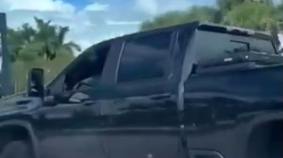 Thumbnail for Florida Goats