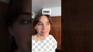 Thumbnail for File types hanging out | Elle Cordova