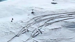 Thumbnail for Two greyhounds chasing a rabbit.