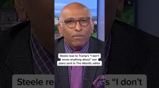 Thumbnail for Steele reacts to Trump's 'I don't know anything' about war plans sent to The Atlantic editor | MSNBC