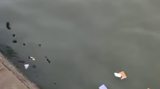 Thumbnail for The recyclers