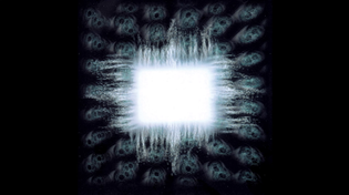 Thumbnail for TOOL - Message to Harry Manback