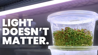 Thumbnail for 4 Things I Got Totally Wrong About Tissue Culture | Plants in Jars