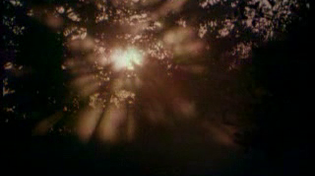 Thumbnail for Rammstein Mine Herz Brend