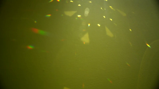 Thumbnail for Four Tet - Into Dust (Still Falling) | Four Tet