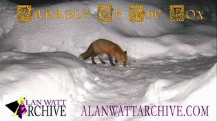 Thumbnail for ALAN WATT ARCHIVE~PARABLE OF THE FOX~CUTTING THROUGH THE MATRIX 09.06.20 | Cutting Through the Matrix