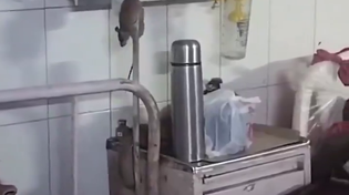 Thumbnail for A hospital in India is exactly what you imagine. 