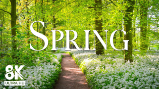 Thumbnail for Switzerland in Full Bloom 🌷 Picturesque Spring Landscapes from Zurich to the Alps | Green View 8k