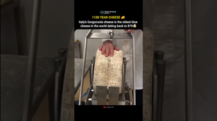 Thumbnail for The Oldest Blue Cheese in the World | Facts TV 91