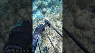 Thumbnail for Catching Fish With An Underwater Crossbow | Nick Kratka